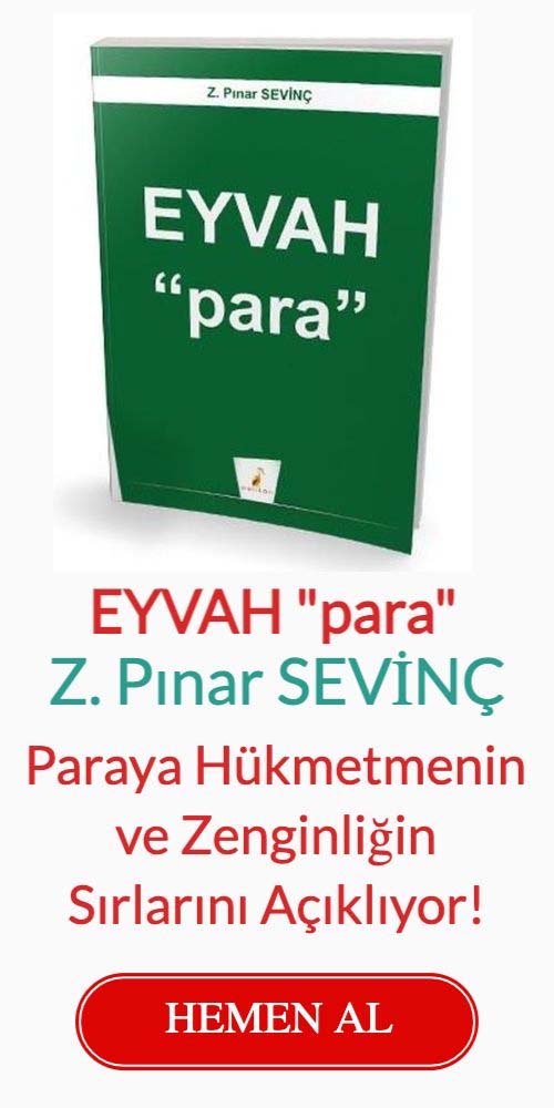 Z.Pınar Sevinç - Eyvah Para