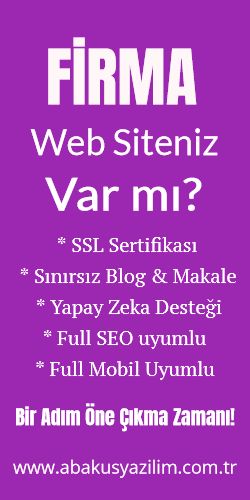 Firma Web Sitesi - Kurumsal Web Sitesi